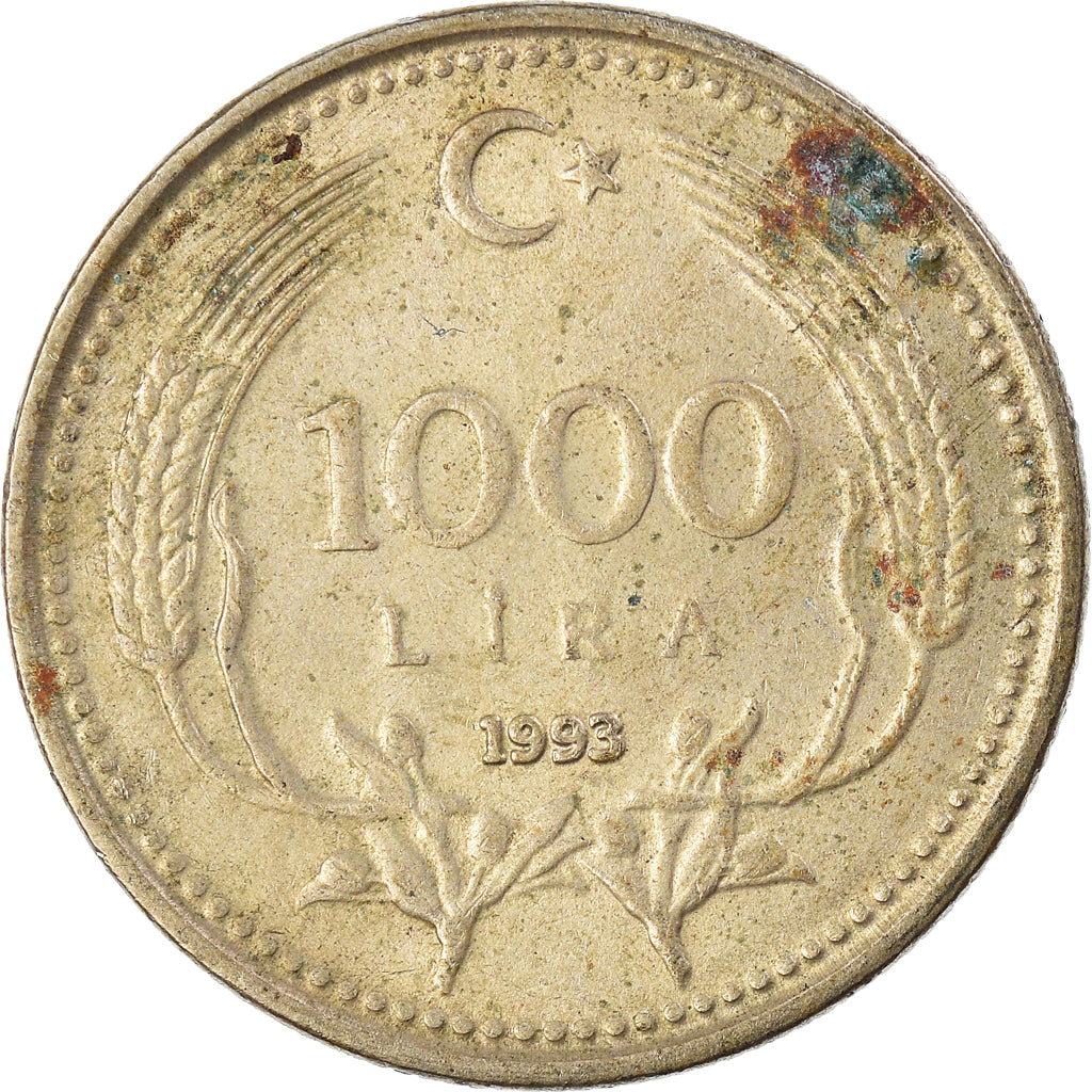 Monnaie, Turquie, 1000 Lira, 1993