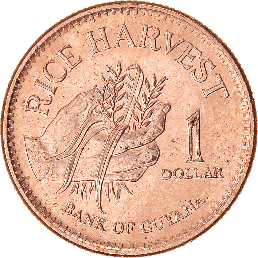 Monnaie, Guyana, Dollar, 1996