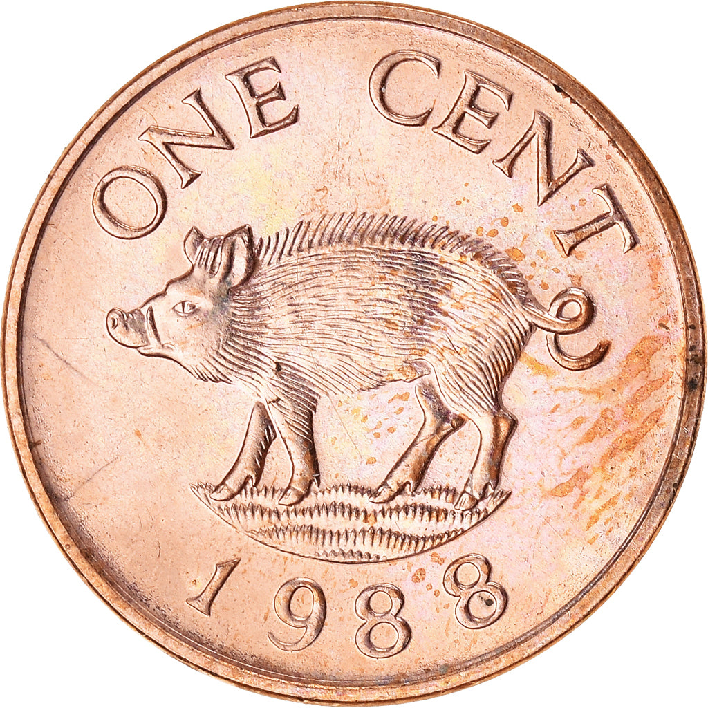 Coin, Bermuda, Cent, 1988