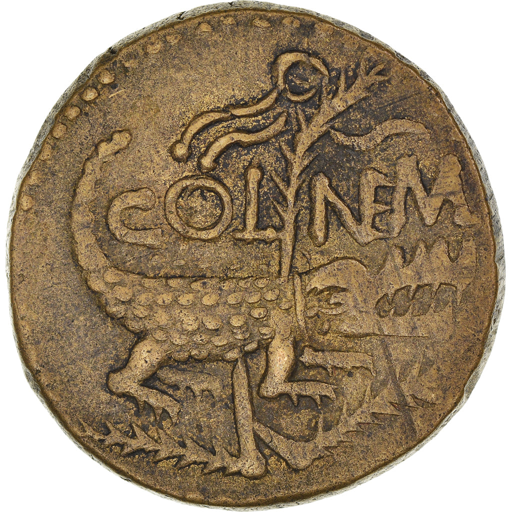 Moneta, Augustus & Agrippa, Nemausus, Dupondius, 10-14 AD, Nîmes, EF(40-45)