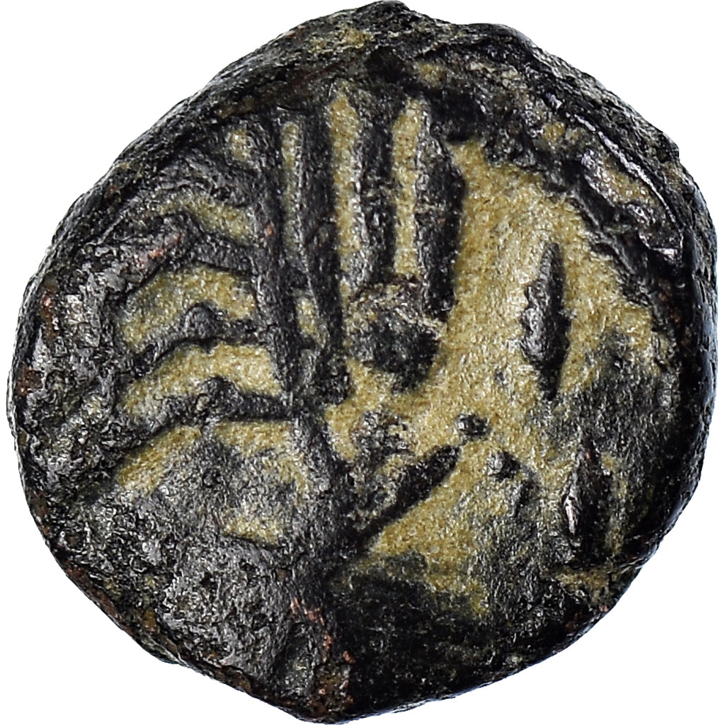 Coin, Africa, Vandals, Thrasamund, Nummus, 496-523, Carthage, EF(40-45), Copper