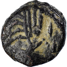Coin, Africa, Vandals, Thrasamund, Nummus, 496-523, Carthage, EF(40-45), Copper