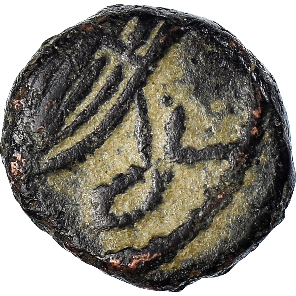 Coin, Africa, Vandals, Thrasamund, Nummus, 496-523, Carthage, EF(40-45), Copper