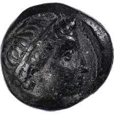 Coin, Kingdom of Macedonia, Philip II, Bronze Unit, 359-294 BC, Uncertain Mint