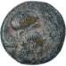 Coin, Thrace, Bronze Æ, 4th century BC, Mesembria, VF(30-35), Bronze