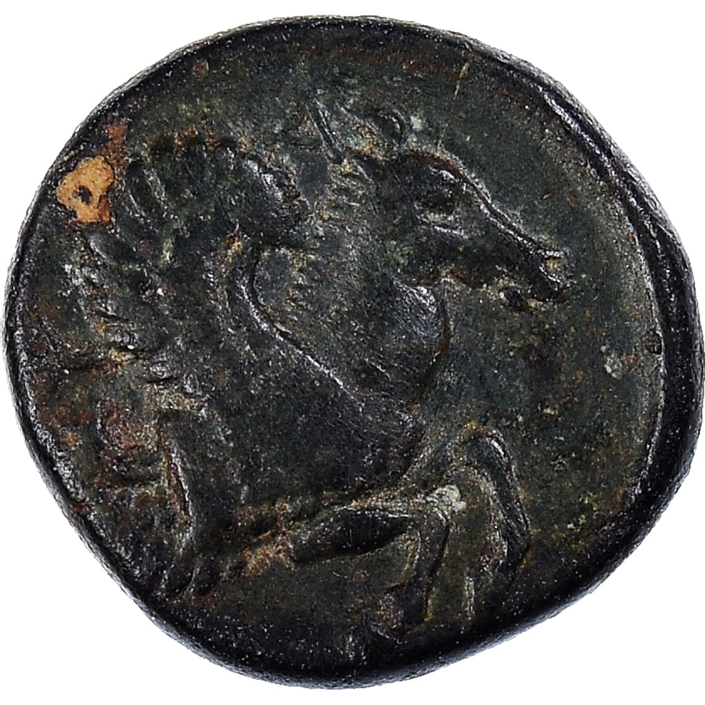 Coin, Mysia, Bronze Æ, 4th-3rd century BC, Lampsakos, Rare, EF(40-45), Bronze