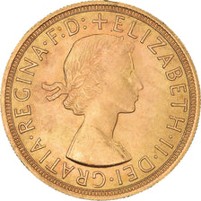Moneta, Wielka Brytania, Elizabeth II, Sovereign, 1957, London, MS(63), Złoto