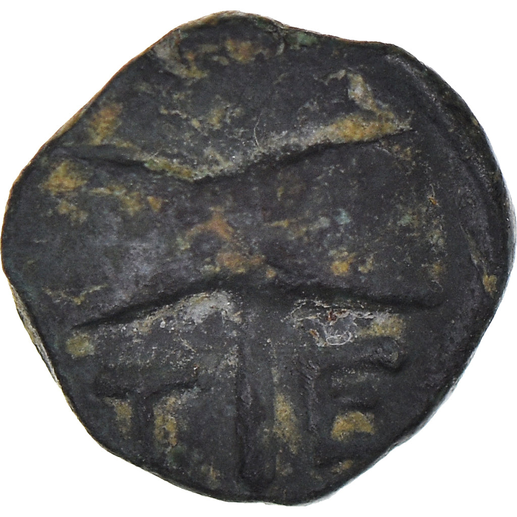 Moneta, Troja, Bronze Æ, 450-387 BC, Tenedos, Rzadkie, EF(40-45), Brązowy