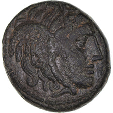 Moeda, Reino Selêucida, Seleukos I, Bronze Æ, 312-281 BC, Sardes, EF(40-45)