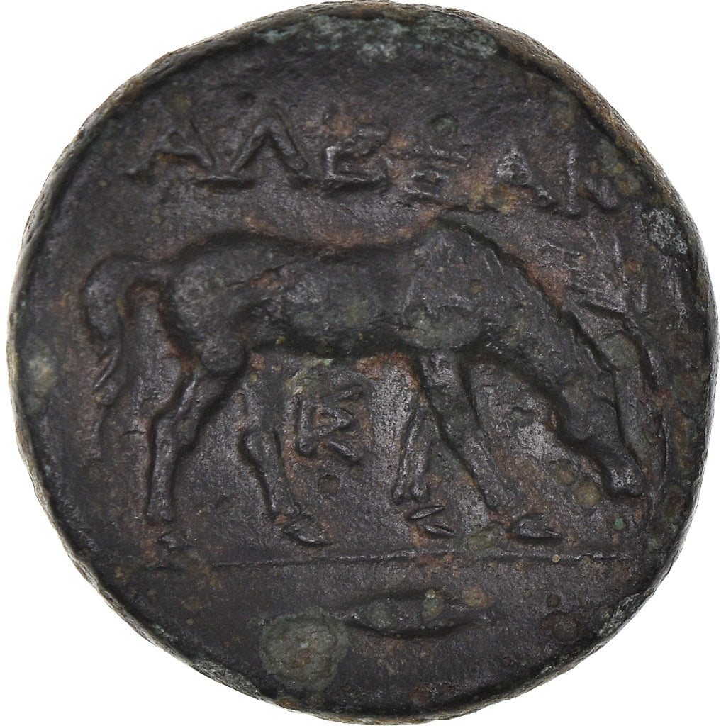 Coin, Troas, Bronze Æ, 302-1 BC, Alexandreia, EF(40-45), Bronze
