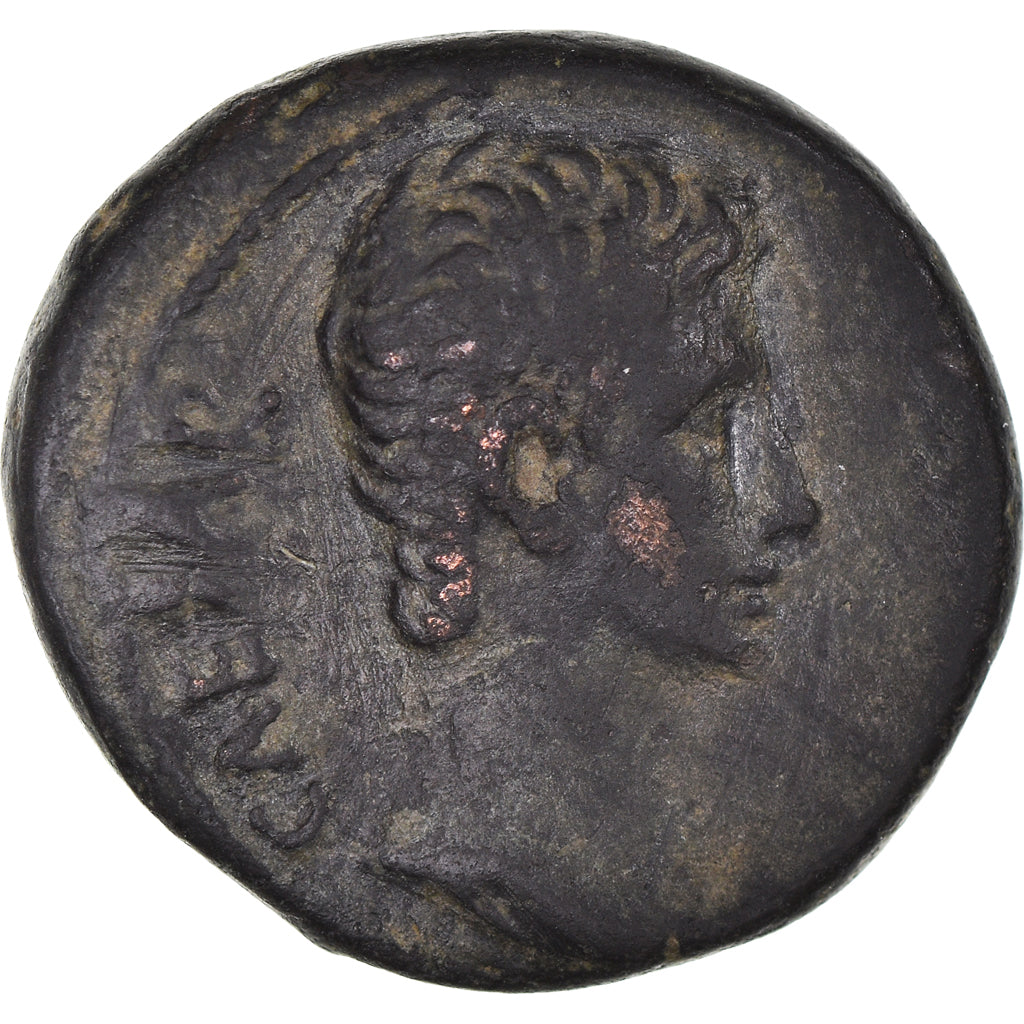 Coin, Seleucis and Pieria, Augustus, As, 27-23 BC, Antioch, VF(30-35), Bronze