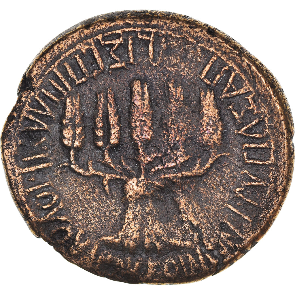 Coin, Phrygia, Vespasian, Bronze Æ, 69-79 AD, Apameia, VF(30-35), Bronze