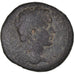 Coin, Caria, Pseudo-autonomous, Bronze Æ, 2nd century BC, Trapezopolis, Rare
