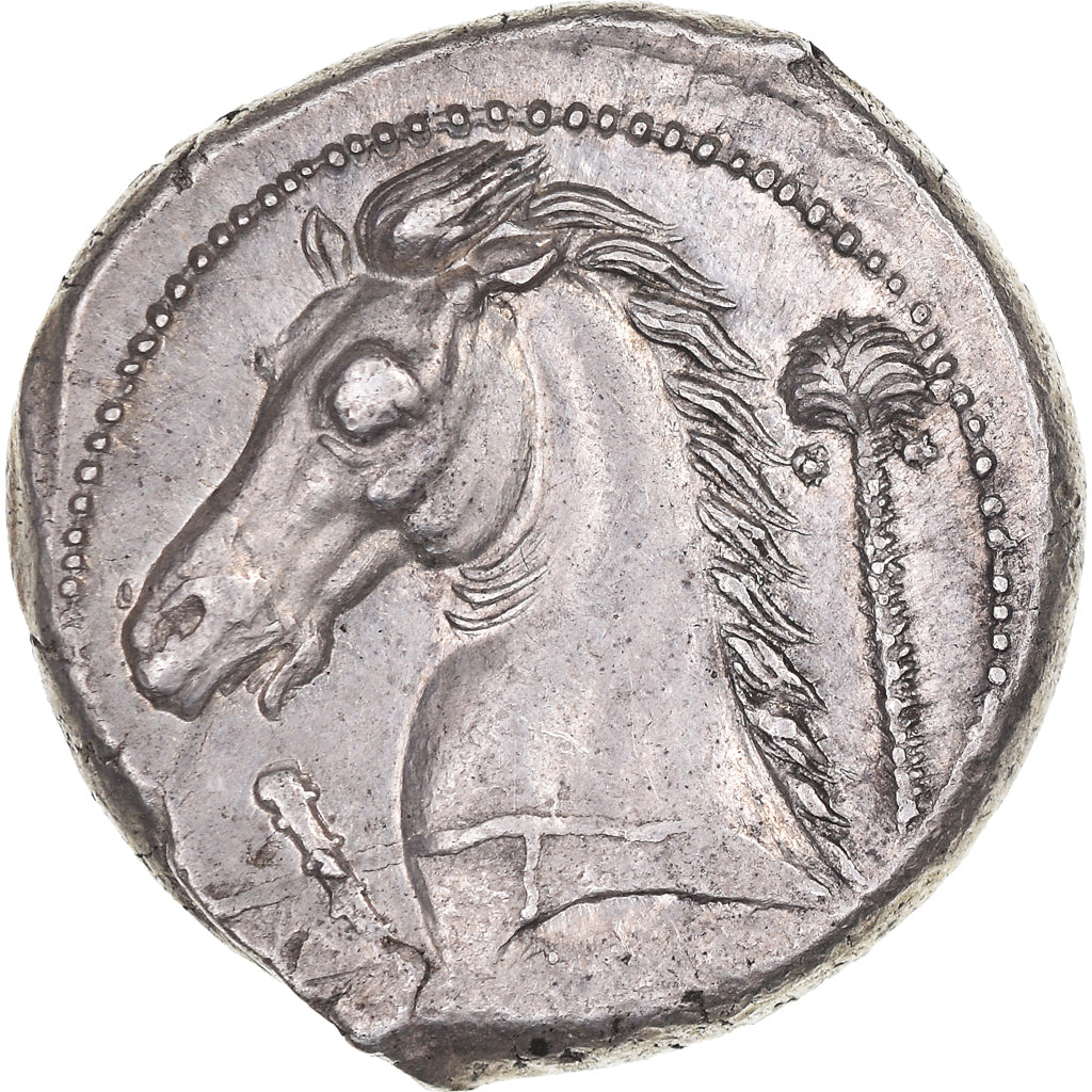Sicily, Tetradrachm, 300-289 BC, Entella, Silver, NGC, AU(50-53), HGC:2-293