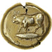 Mysia, Stater, 500-450 BC, Cyzicus, Electrum, NGC, VF(30-35), SNG-France:222-3