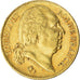 Moneta, Francia, Louis XVIII, 20 Francs, 1817, Paris, BB+, Oro, KM:712.1