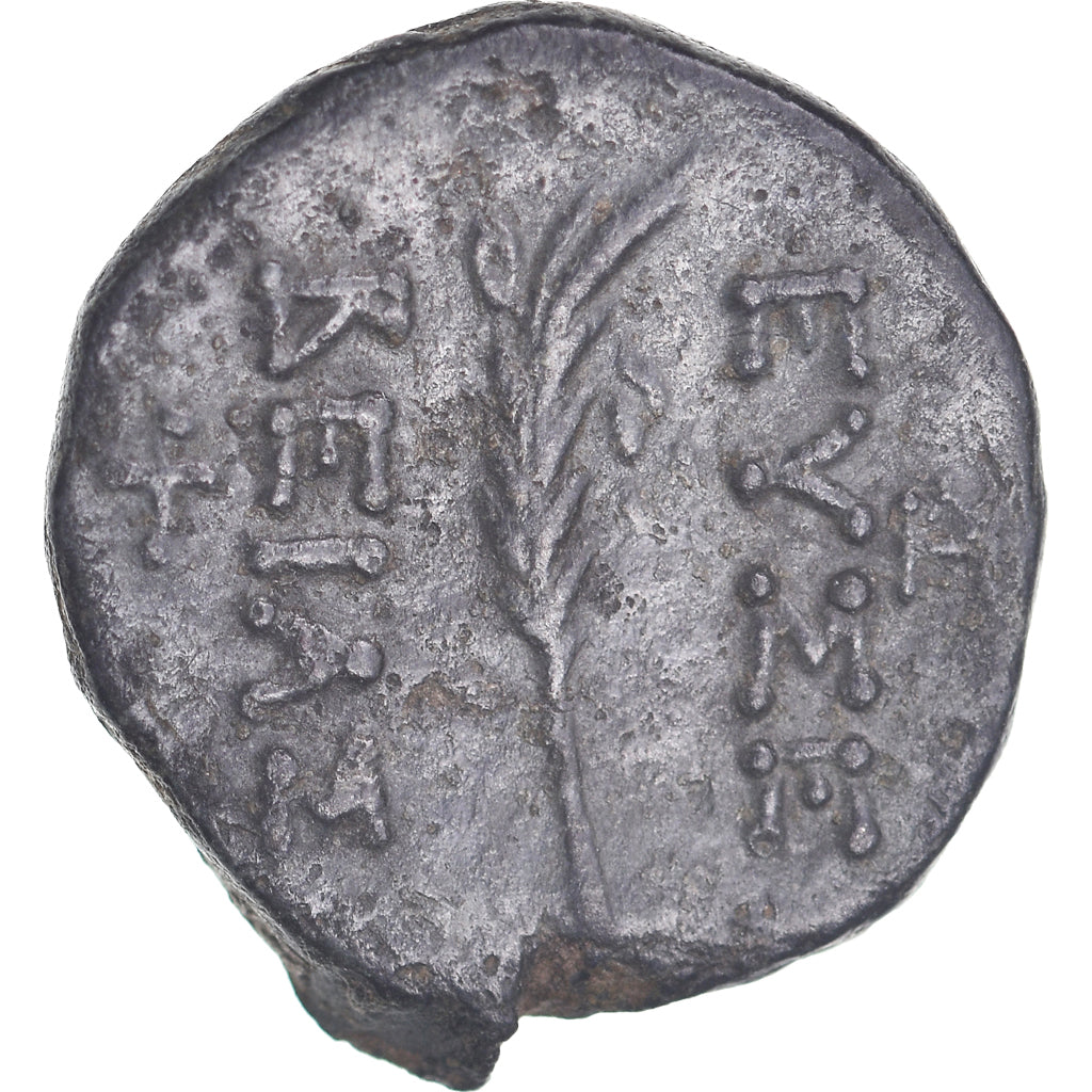 Münze, Cappadocia, Bronze Æ, 95-63 BC, Caesareia-Eusebia, Rare, SS, Bronze