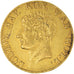 Coin, Netherlands, HOLLAND, Louis Napoleon, Ducat, 1809, Utrecht, EF(40-45)