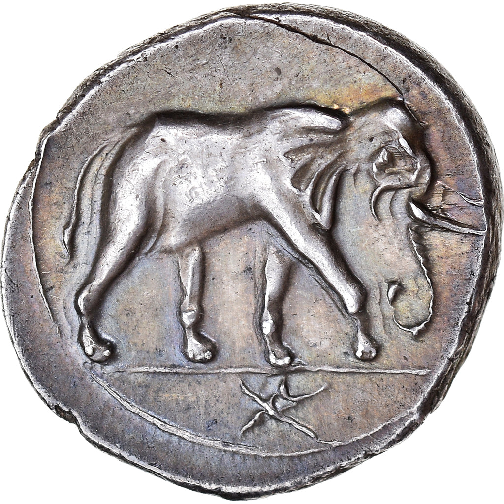 Monnaie, Carthage, 1/2 Shekel, 213-210 BC, SUP, Argent, SNG-Cop:383