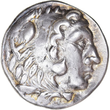 Coin, Dacia, Danubian Celts, Tetradrachm, 3rd century BC, Pedigree, EF(40-45)
