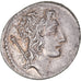 Moneta, Cassia, Denarius, 55 BC, Rome, Pedigree, AU(55-58), Srebro