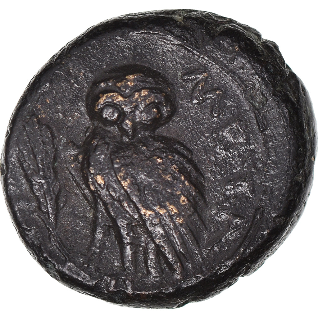 Münze, Lucania, Bronze Æ, 225-200 BC, Metapontion, SS+, Bronze, HN Italy:1704