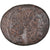 Monnaie, Séleucie et Piérie, Pseudo-autonomous, Bronze Æ, Ier siècle AV JC