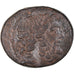 Munten, Seleucis and Pieria, Pseudo-autonomous, Bronze Æ, Ist century BC