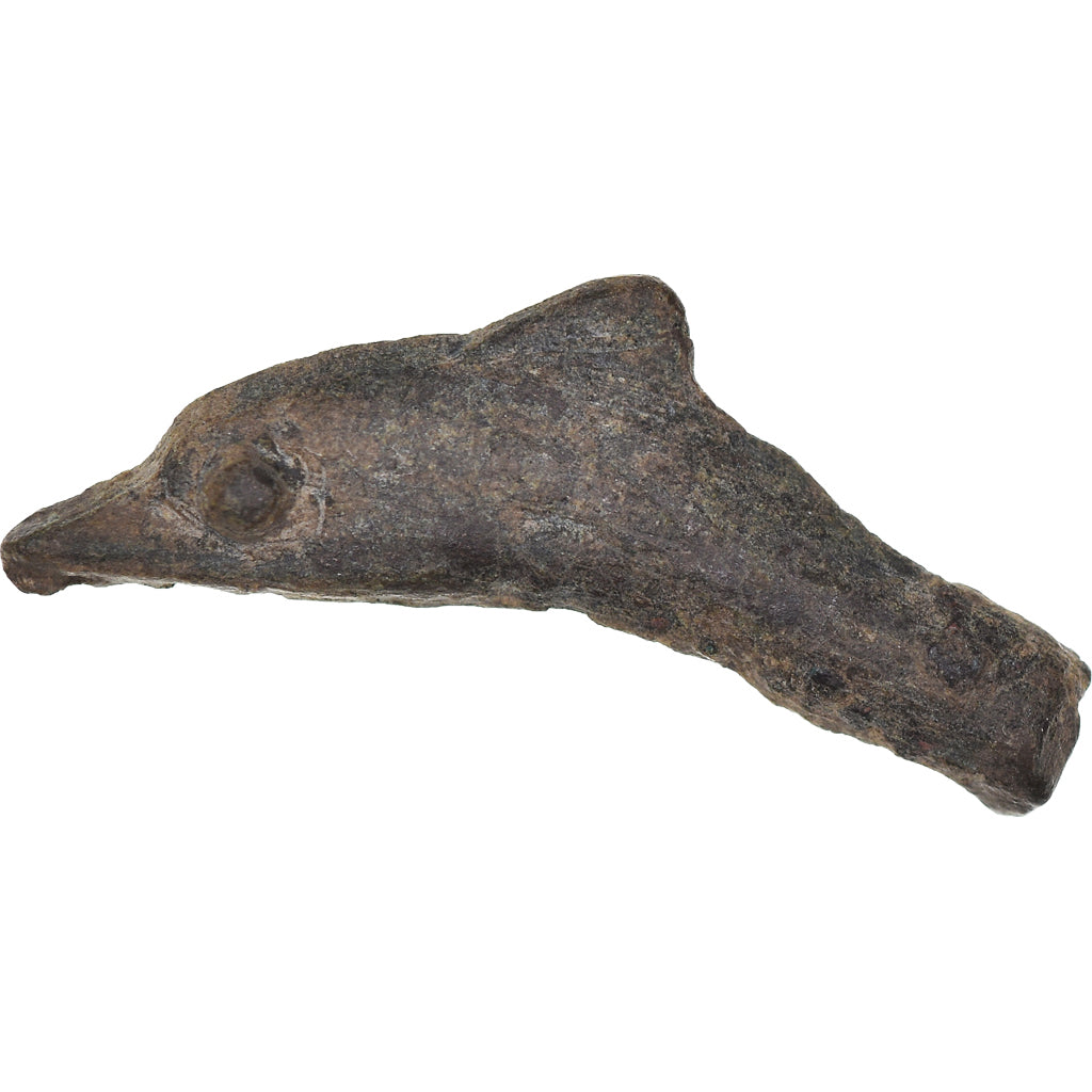 Coin, Sarmatia, Dolphin, 437-410 BC, Olbia, EF(40-45), Bronze