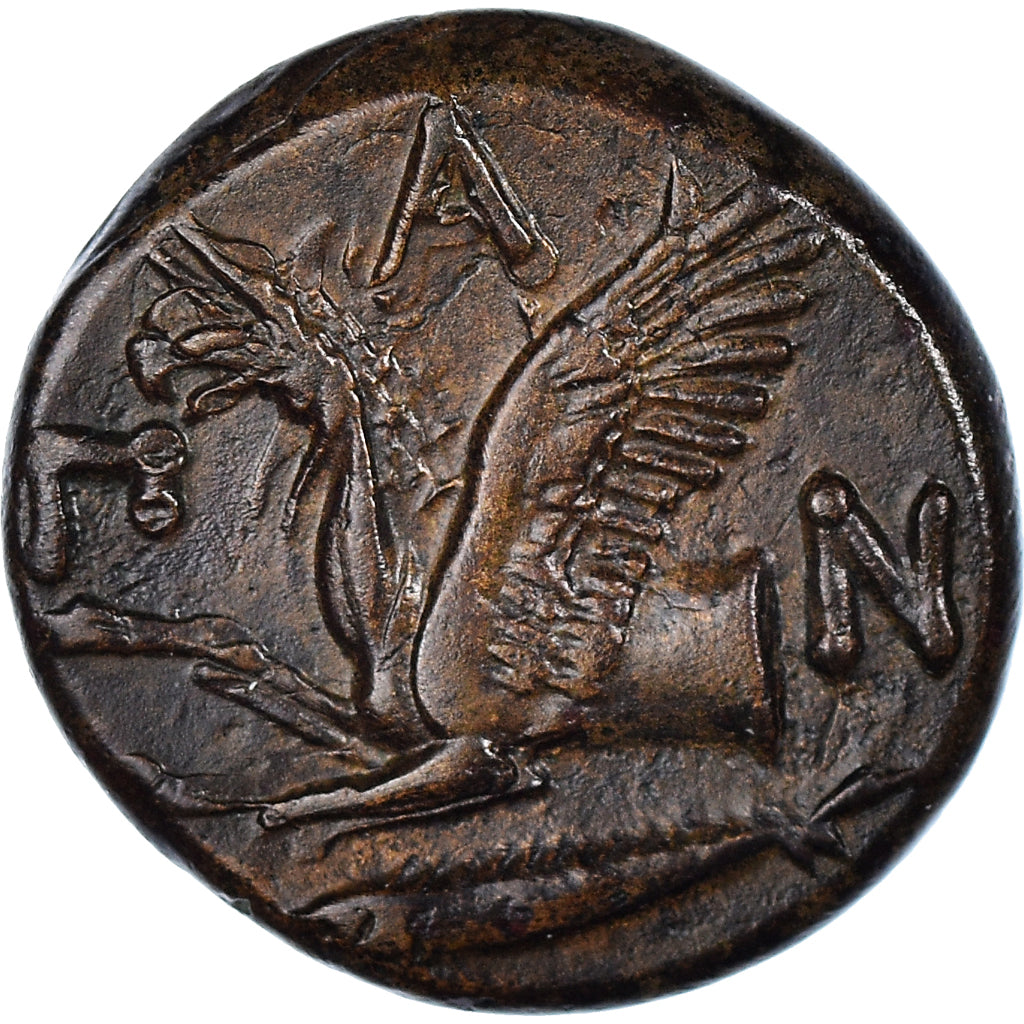 Coin, Cimmerian Bosporos, Pantikapaion, Bronze Æ, 310-304/3 BC, AU(50-53)