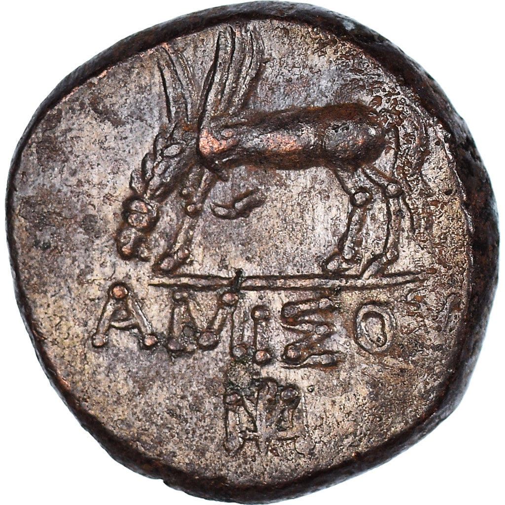 Moeda, Ponto, Bronze Æ, 85-65 BC, Amisos, EF(40-45), Bronze, HGC:7-239