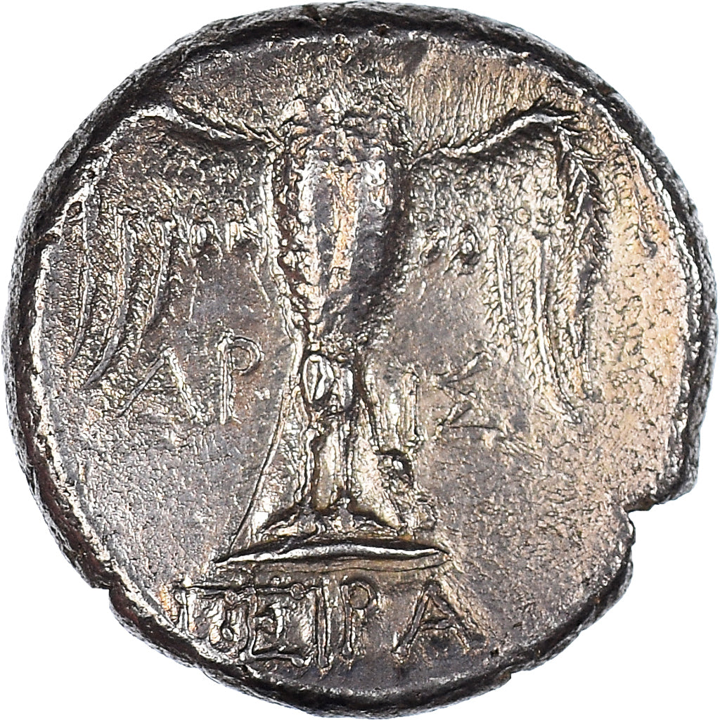 Coin, Pontos, Siglos, Ist century BC, Amisos, AU(50-53), Silver, HGC:7-229