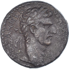 Moeda, Selêucia Piéria, Nerva, Bronze Æ, 96-98, Antioch, EF(40-45), Bronze