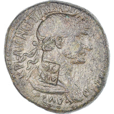 Monnaie, Séleucie et Piérie, Trajan, Bronze Æ, 116-117, Antioche, TTB