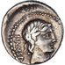Coin, Vibia, Denarius, 90 BC, Rome, EF(40-45), Silver, Crawford:342/5b