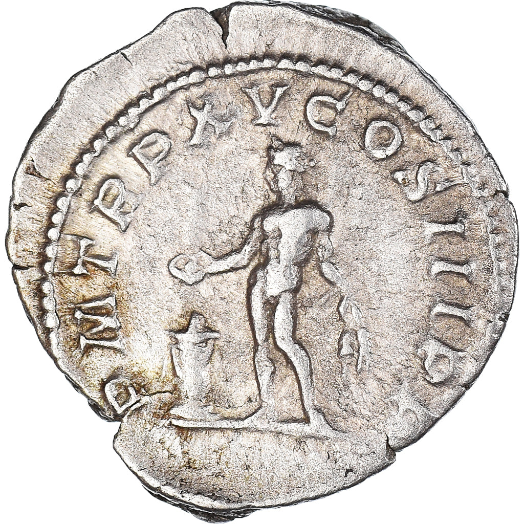 Munten, Septimius Severus, Denarius, 207, Rome, ZF, Zilver, RIC:209