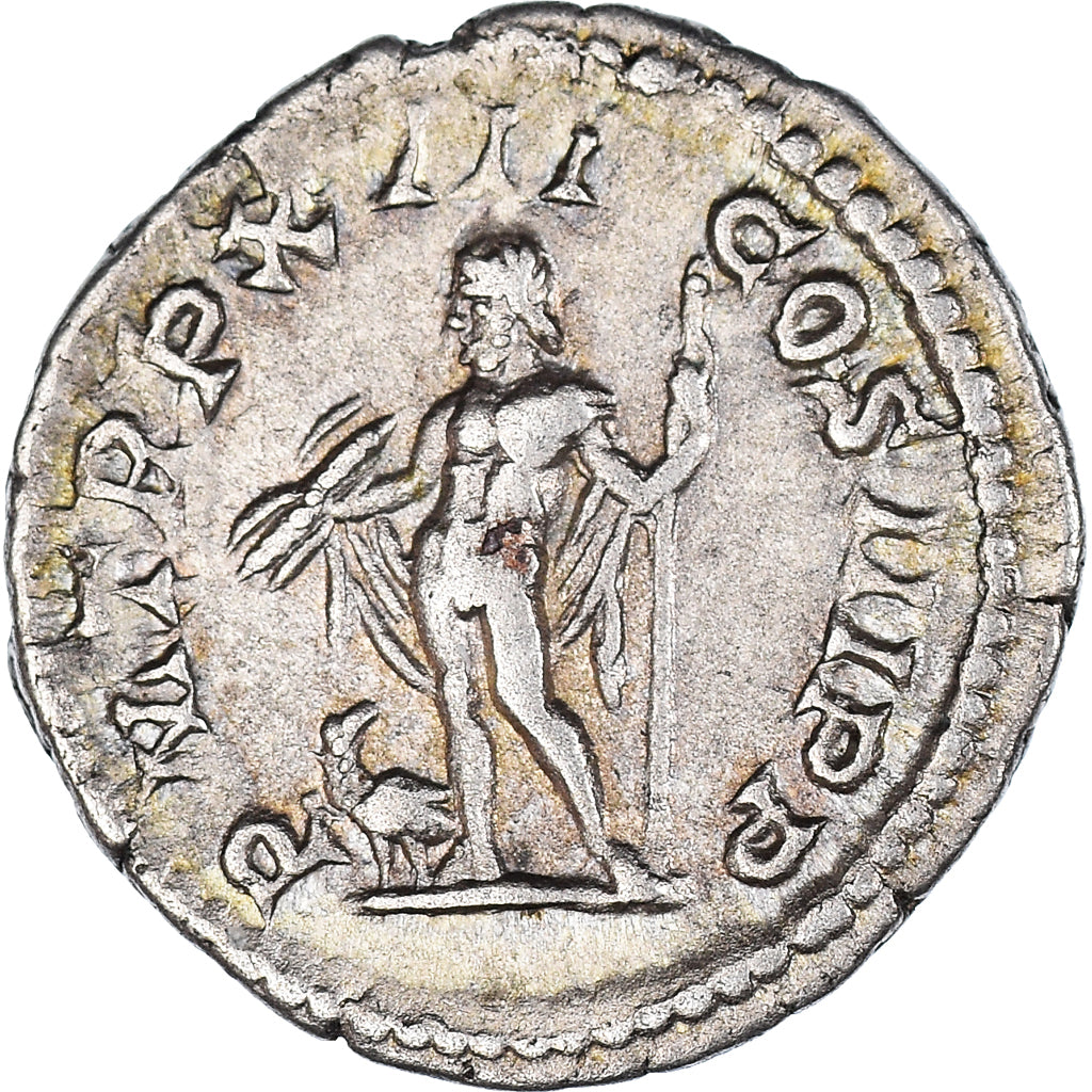 Coin, Septimius Severus, Denarius, 205, Rome, AU(50-53), Silver, RIC:196