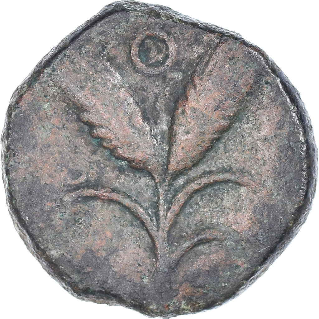 Moneta, Islands off Sicily, Onkia, 2nd-1st century BC, Melita, Rare, MB+, Bronzo