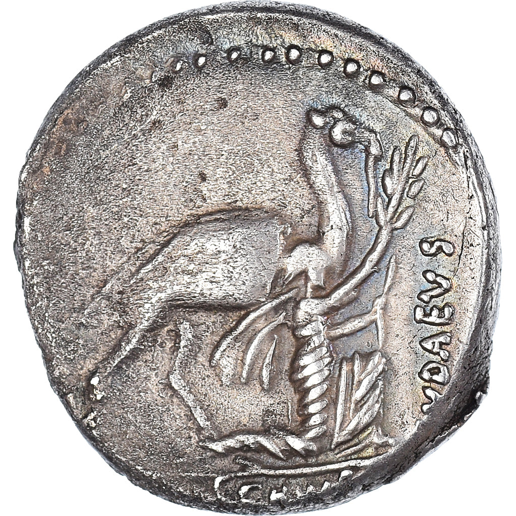 Coin, Plautia, Denarius, 55 BC, Rome, AU(50-53), Silver, Crawford:431/1