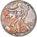 Moneta, Stati Uniti, Silver Eagle, Dollar, 2017, 1 Oz, FDC, Argento