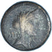 Moneta, Cilicia, Bronze Æ, 50 BC-AD 50, Korykos, MB, Bronzo