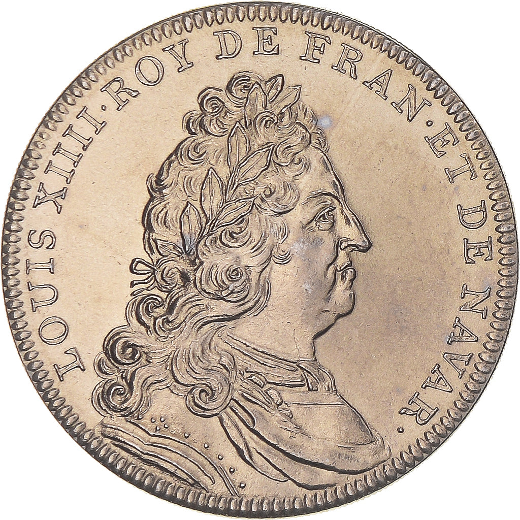 Frankreich, Medaille, Les Rois de France, Louis XIIII, UNZ+, Kupfer-Nickel