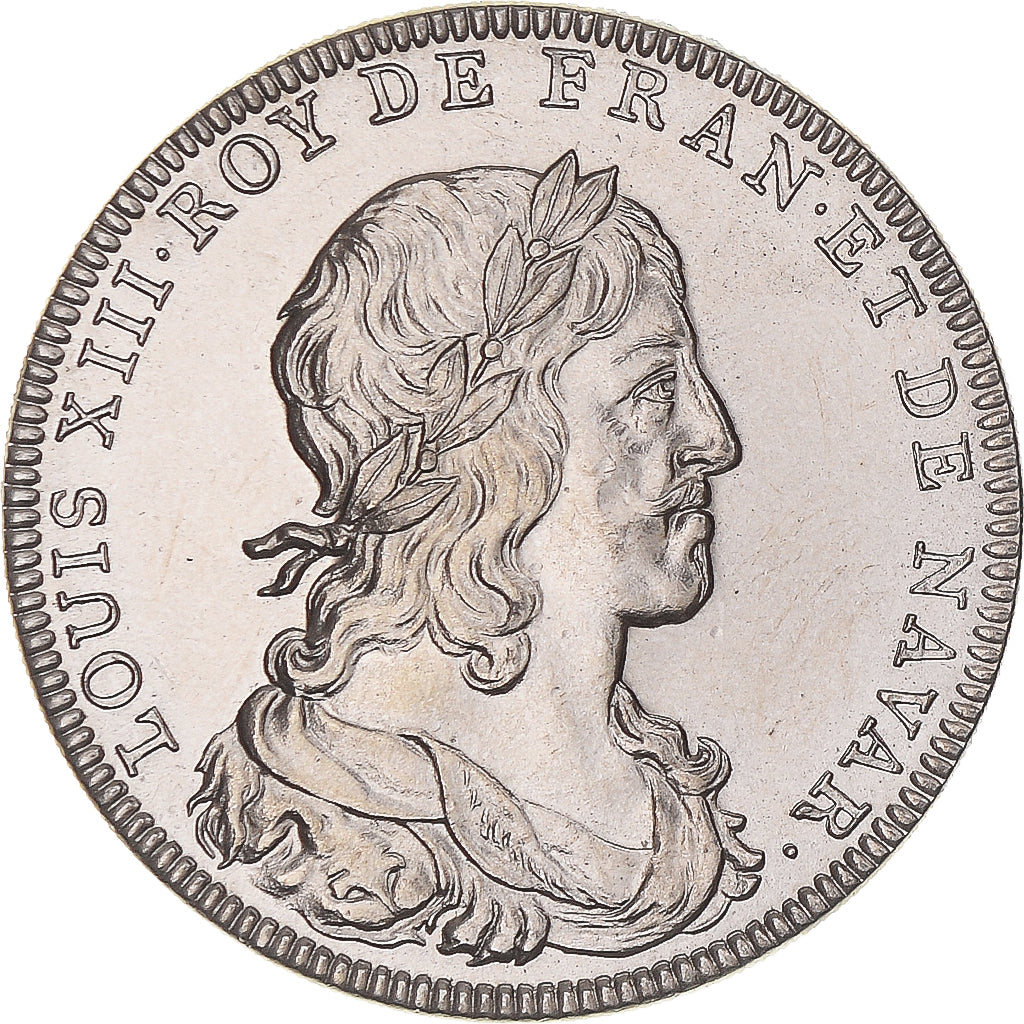 France, Medal, Les rois de France, Louis XIII, MS(64), Copper-nickel