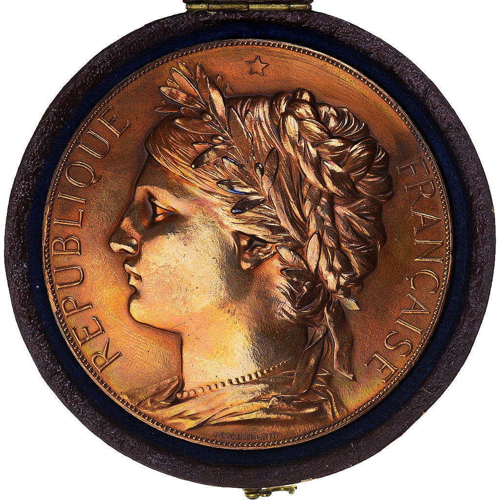 Francia, medaglia, Exposition Universelle Internationale de 1878, Arts &