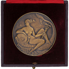 Francia, medaglia, Ville du Havre, Arts & Culture, Poisson, SPL, Bronzo
