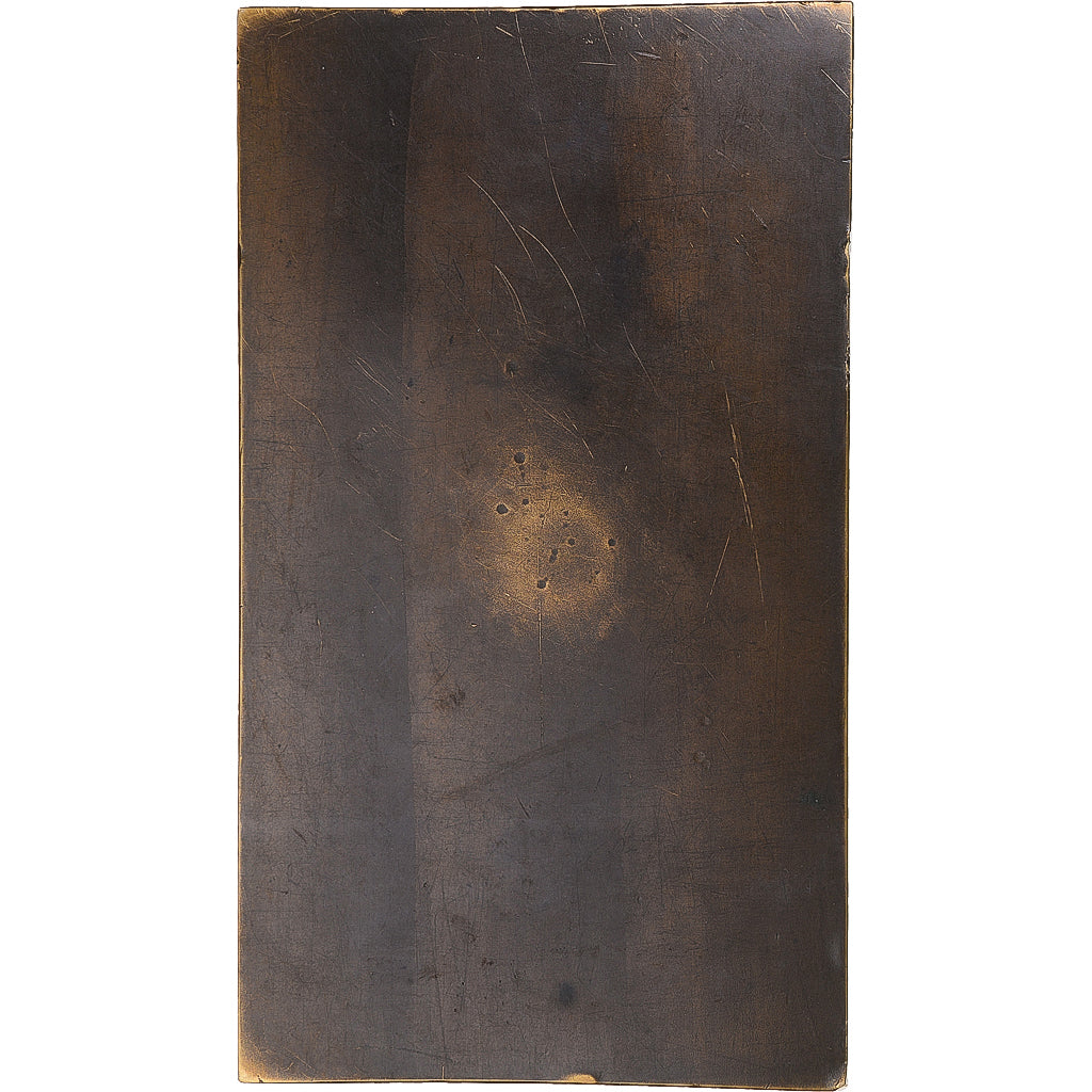 France, Médaille, Le Nid, Arts & Culture, Dupuis.D, SPL, Bronze