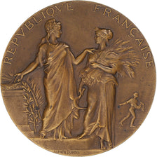 Francia, medalla, Ministère de l'Agriculture, Associations Agricoles, 1903