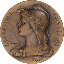 France, Medal, Assistance Publique, Bureau de Bienfaisance, Paris, 1934, Roty