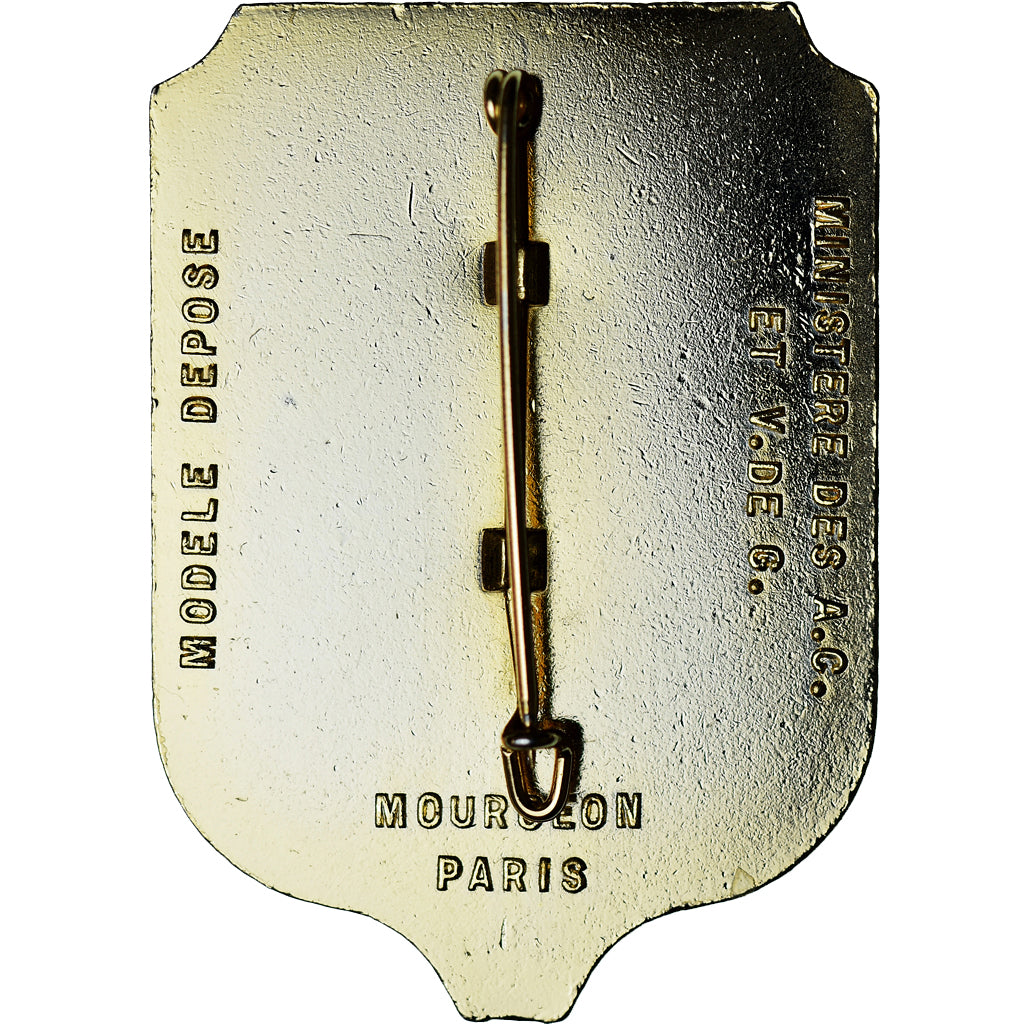 France, Porte Drapeau, Médaille, Excellent Quality, Gilt Bronze, 54