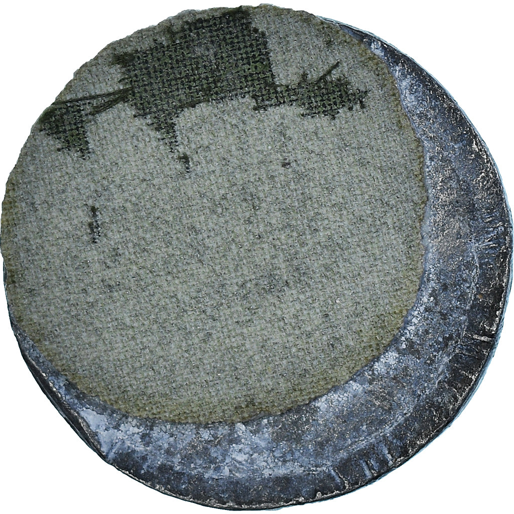 Francja, medal, Ludovicus Magnus - Louis XIV, Historia, EF(40-45), Cyna-Cynk